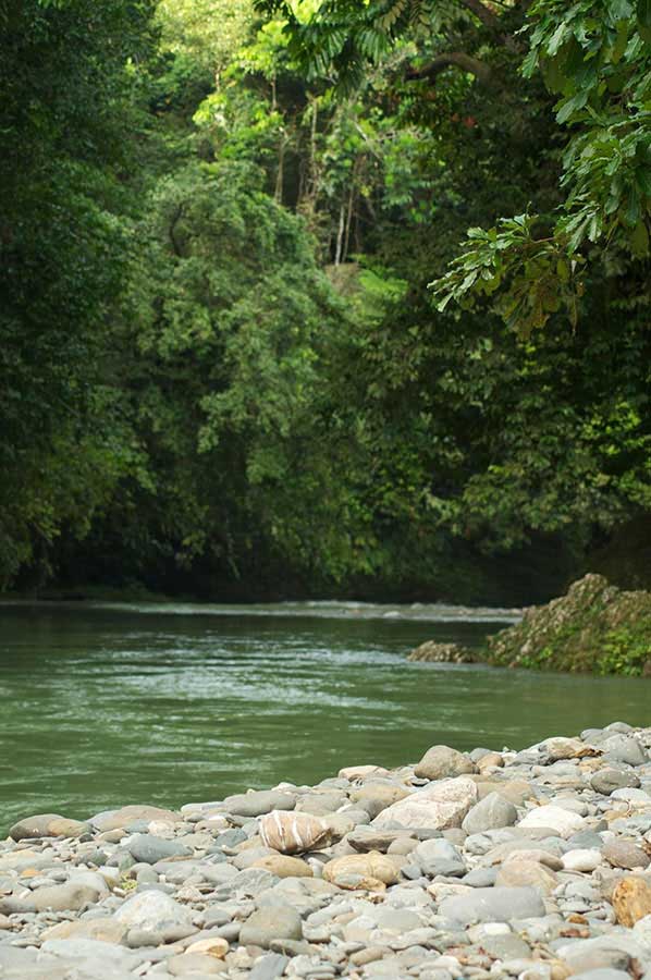 bukit lawang sumatra