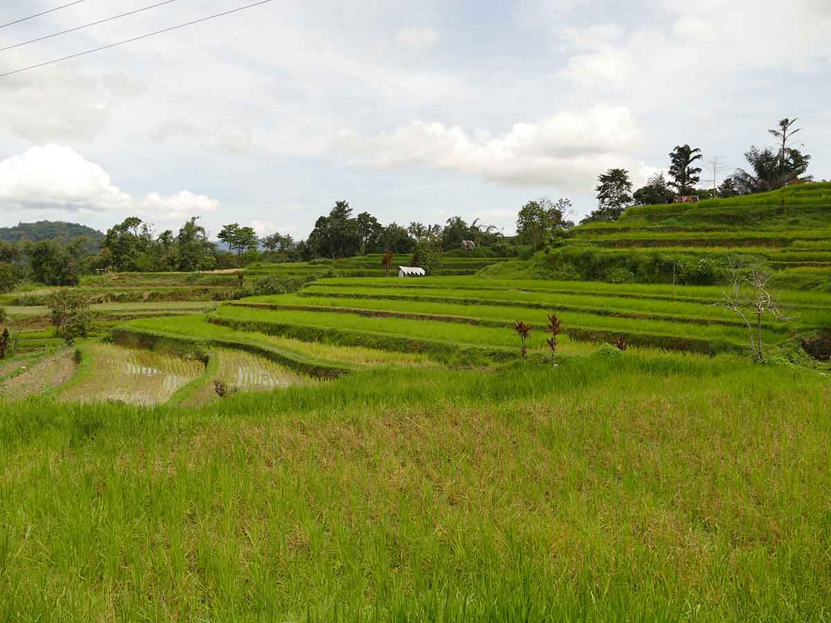 Lake Toba Photo Gallery
